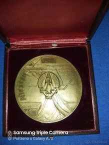 Vzácná plaketa - 2