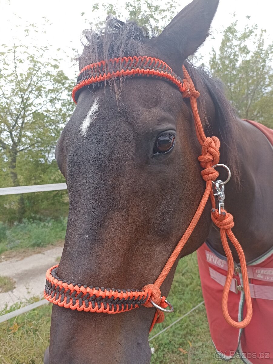 Bezudidlová ohlávka - 2