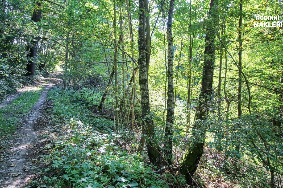 Jestřabí v Krkonoších - 2