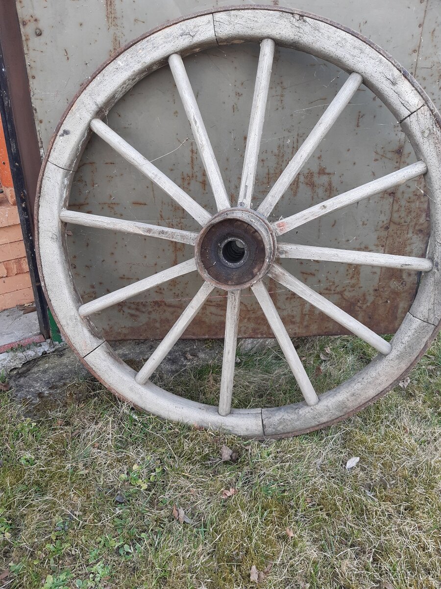 Kola od žebřiňáku - 2