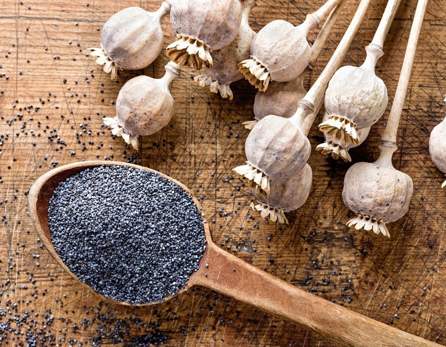 Bílý a modrý mák. - 2