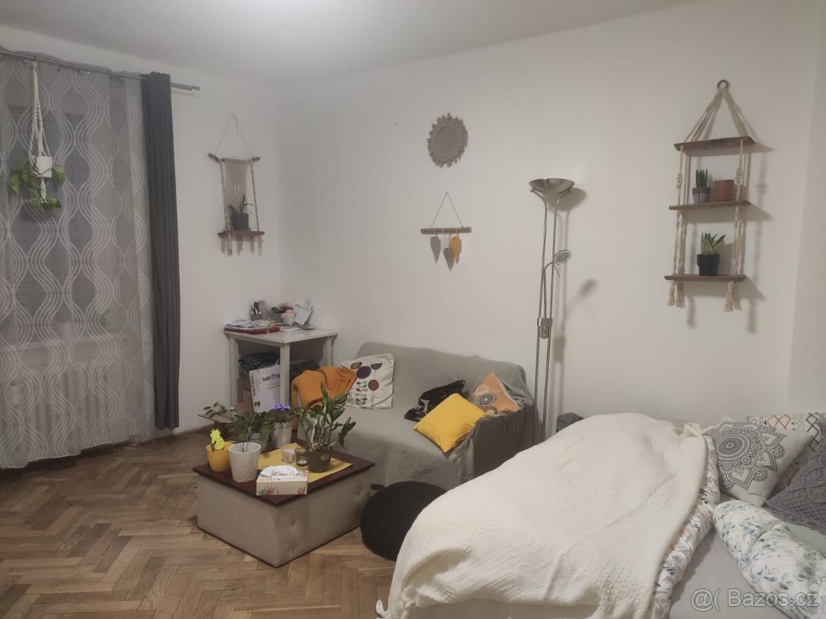 Pronájem bytu 1+1, ul. Foerstrova, Olomouc - 2