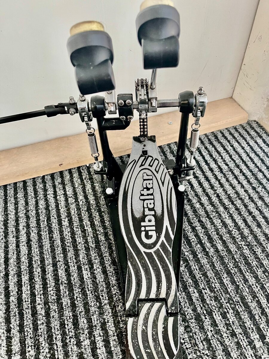 Gibraltar dvojšlapka. - 2