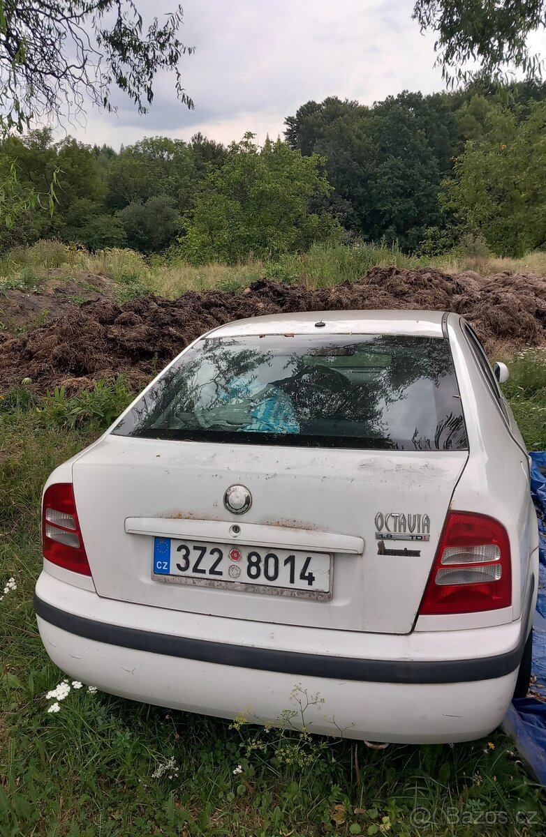 Škoda Octavia bílá ND - 2