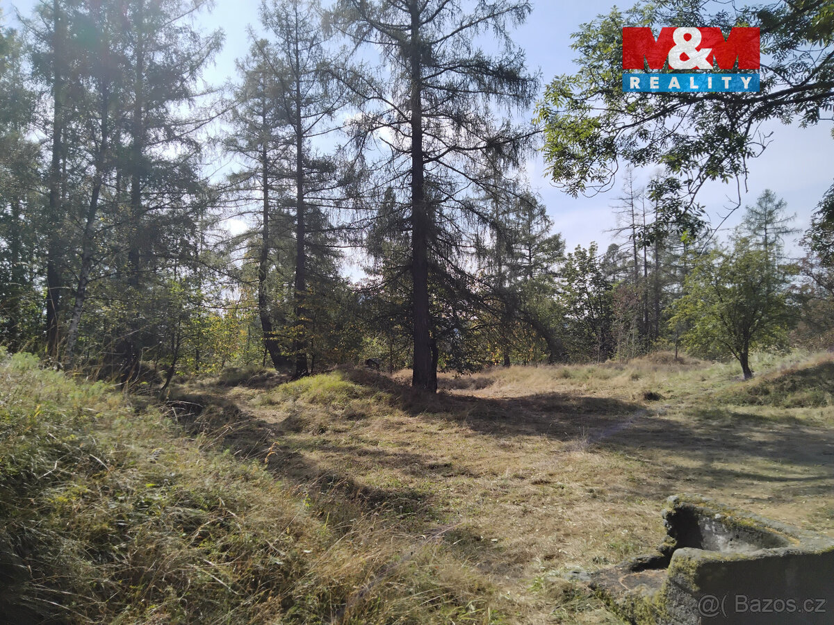 Prodej tufitového lomu, 13529 m², Razová - 2