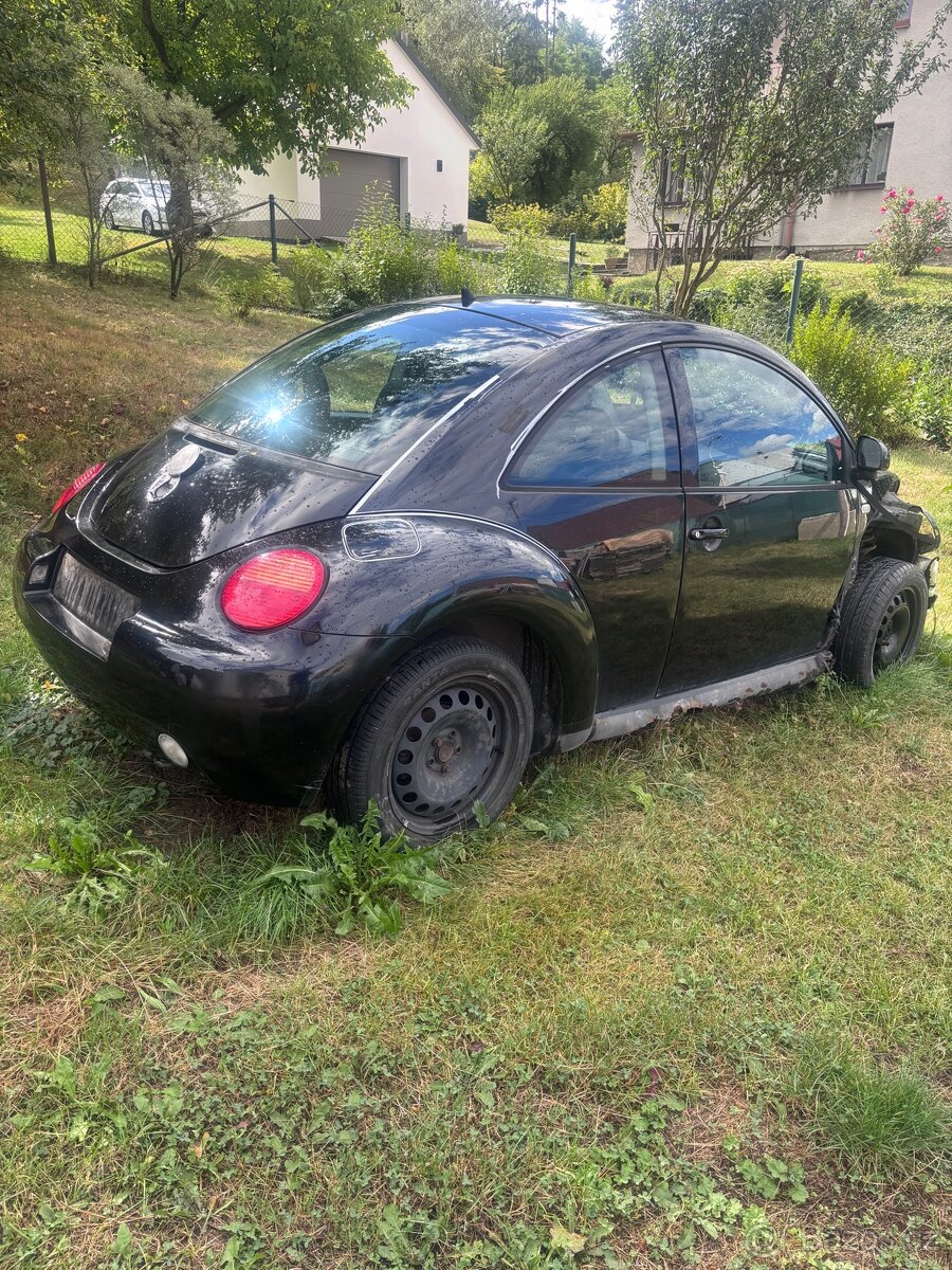 New beetle , brouk - 2
