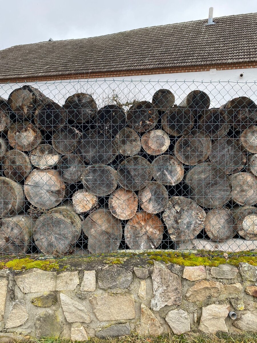 Palivové dřevo - 2