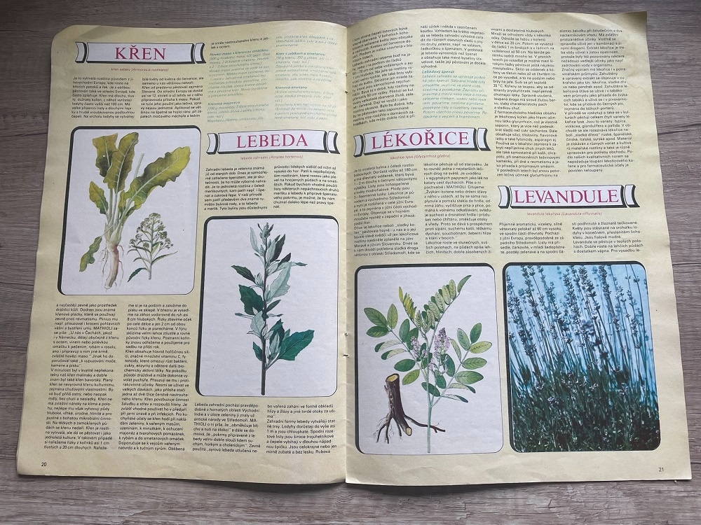 Mona - Bylinky, plody a koření - 2