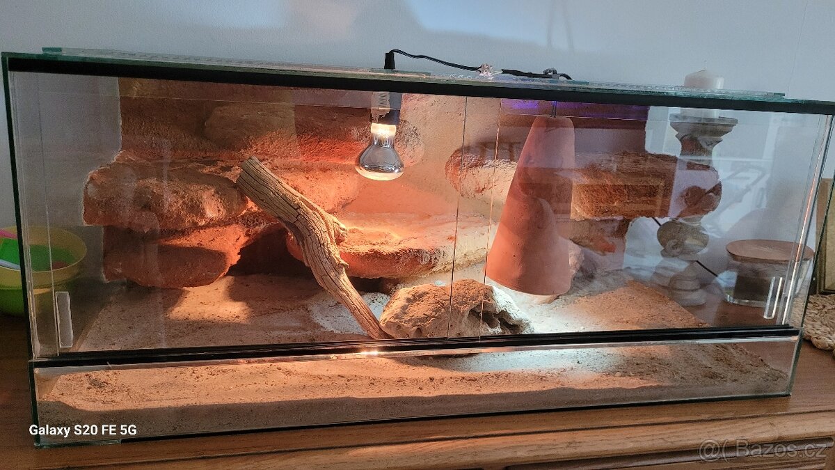 Terarium 80x40x35 - 2