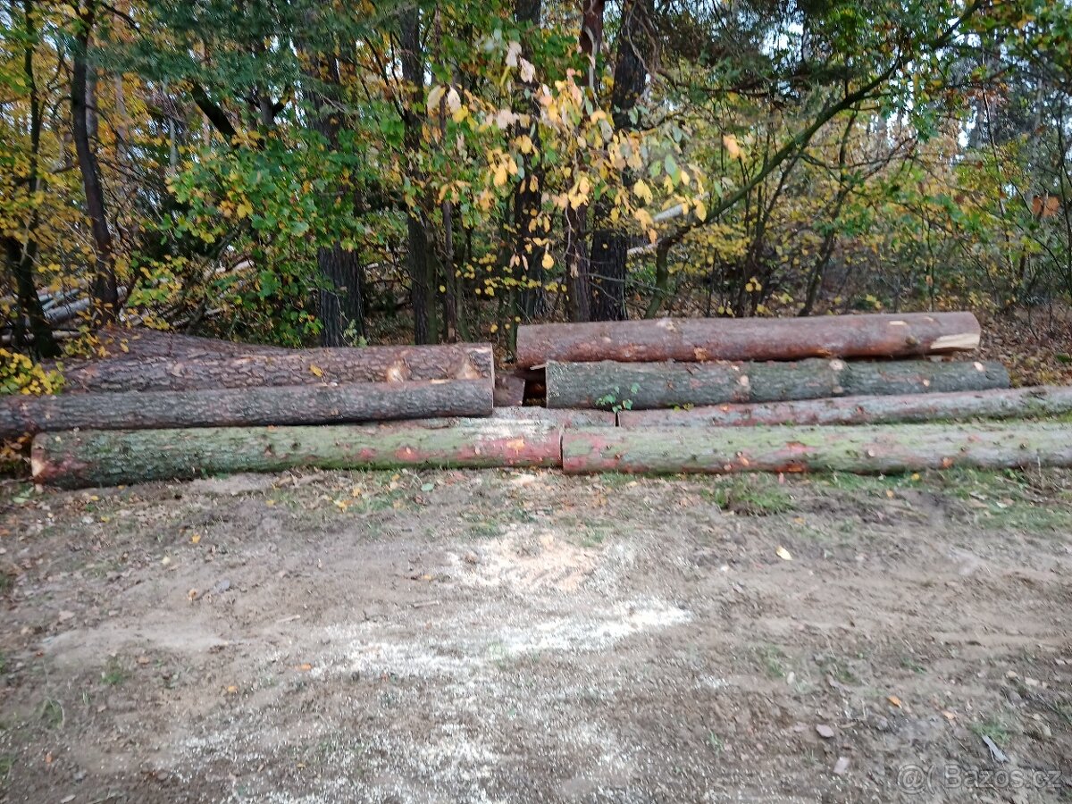 Modřínová kulatina dl. 4,0 m - 2