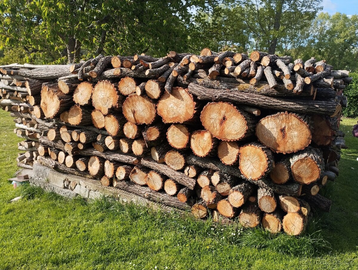 DŘEVO - PALIVOVÉ - 2