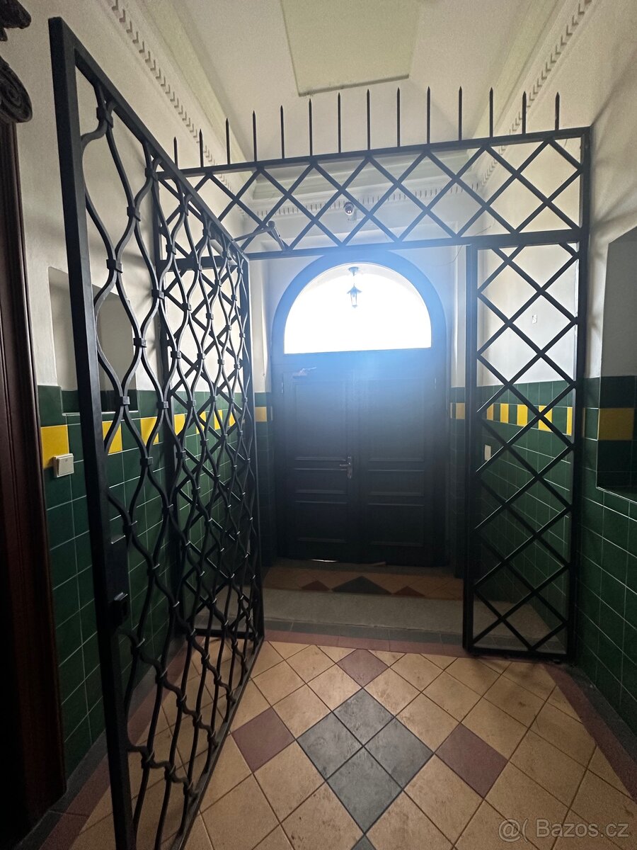 Kovaná mříž se dveřmi - 2