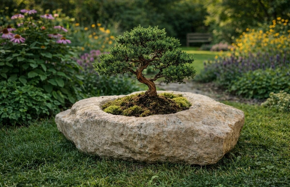 Misky na Bonsaie - 2