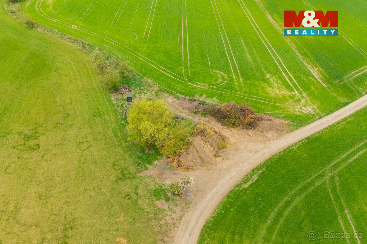 Prodej louky, 730 m², Olešnice - 2