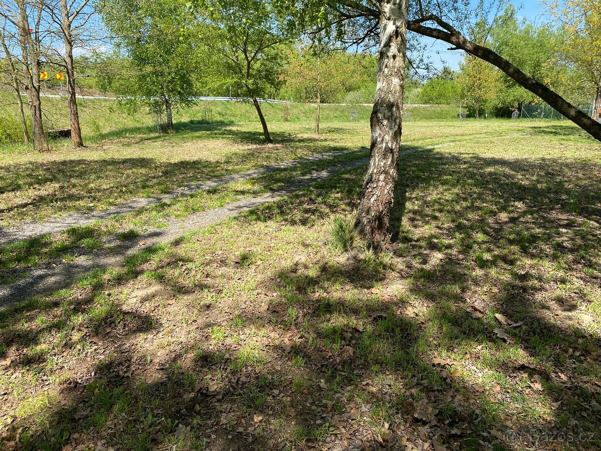 Pozemek louka - Veselí nad Lužnicí - 2