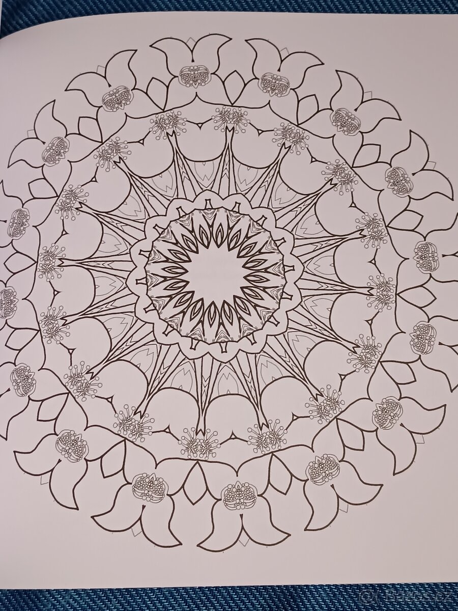 Omalovánky pro dospělé: Inspirativní a ............. - 2