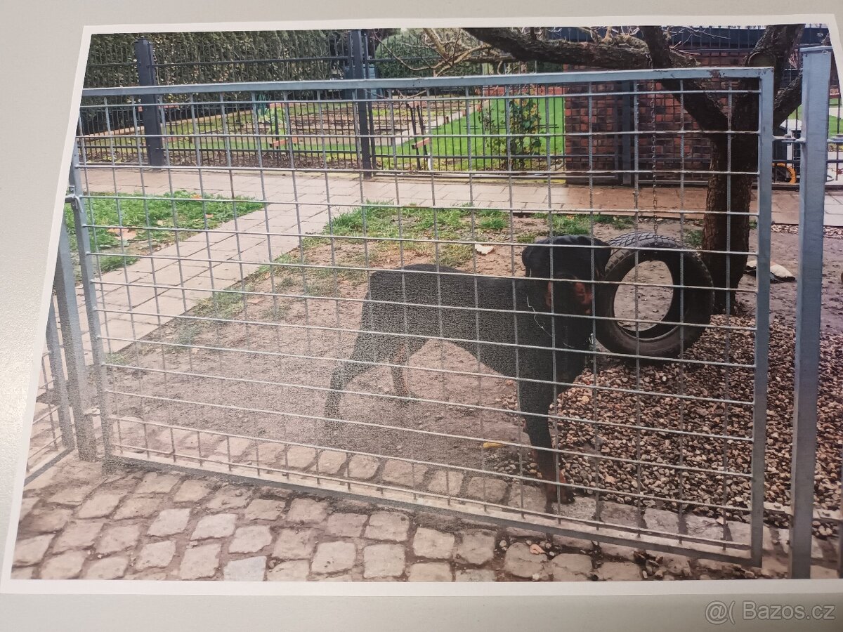 plotek z kari sítě - 2,5m x 4,5m - vč. branky - 2