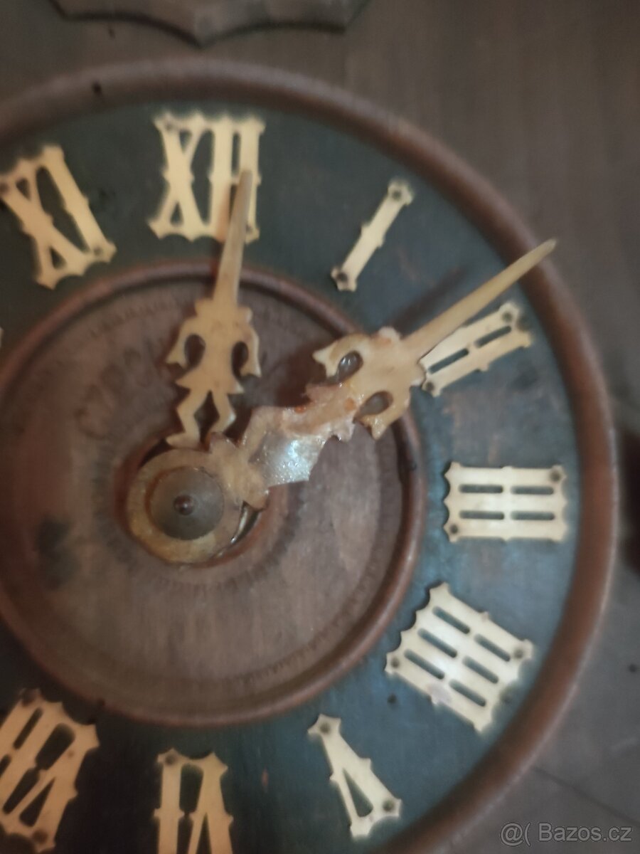 České kukačky - 2