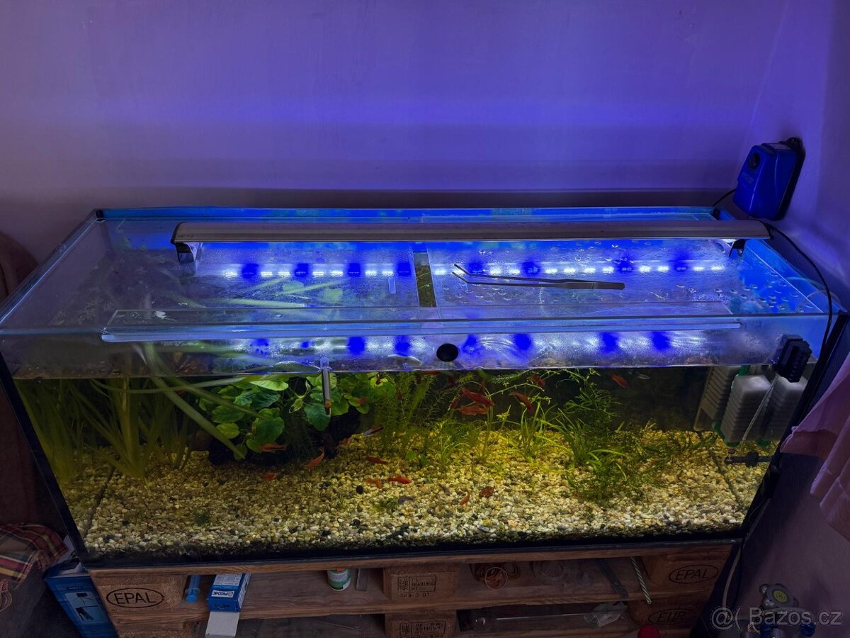 Akvarium 240l - 2