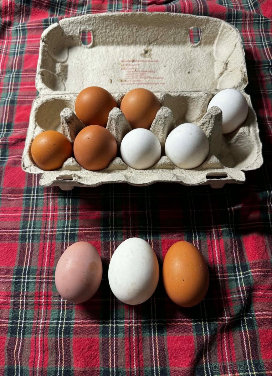 Domácí vajíčka - 2