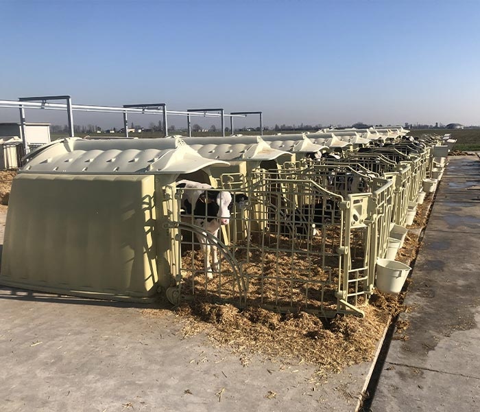 Boudy pro telata Calfella - 2