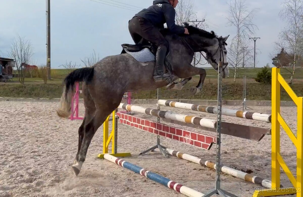 6l valach - 2