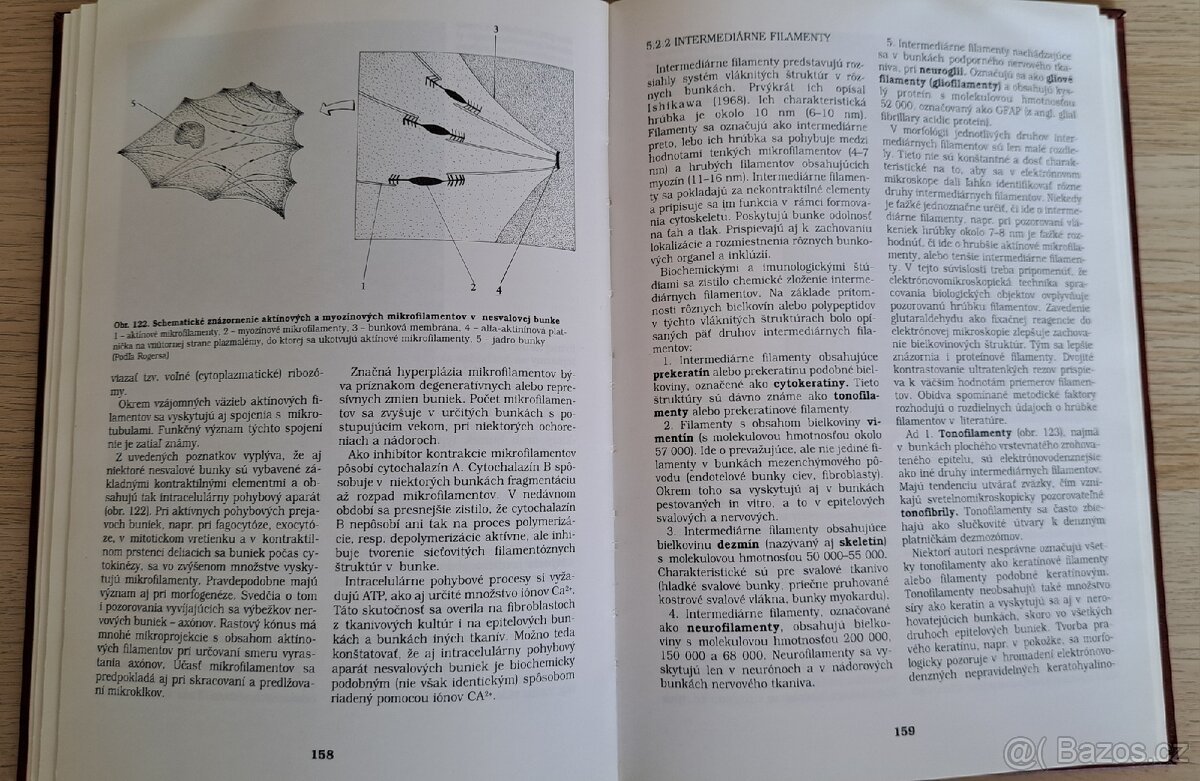 Cytomorfológia - 2