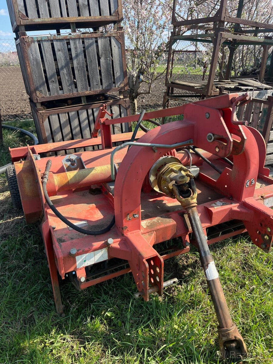 Maschio super AF - 2