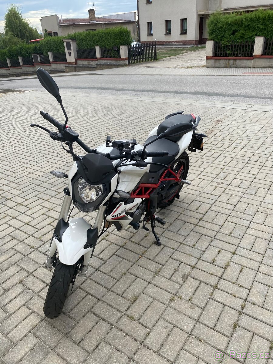 Benelli Bn 125/2022 - 2