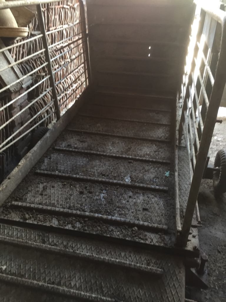 Váha na zvířata - 2