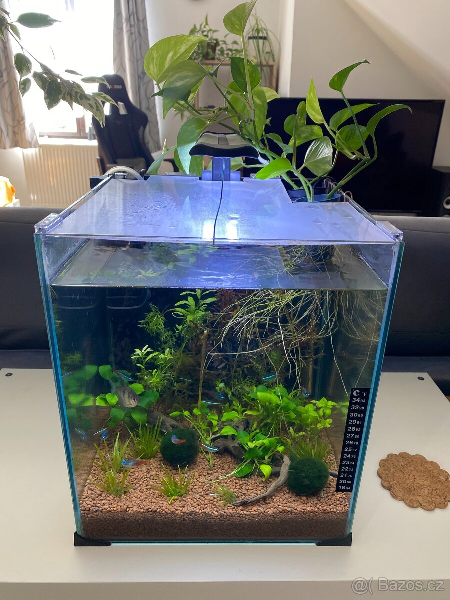Vybavené akvárium 30l - 2