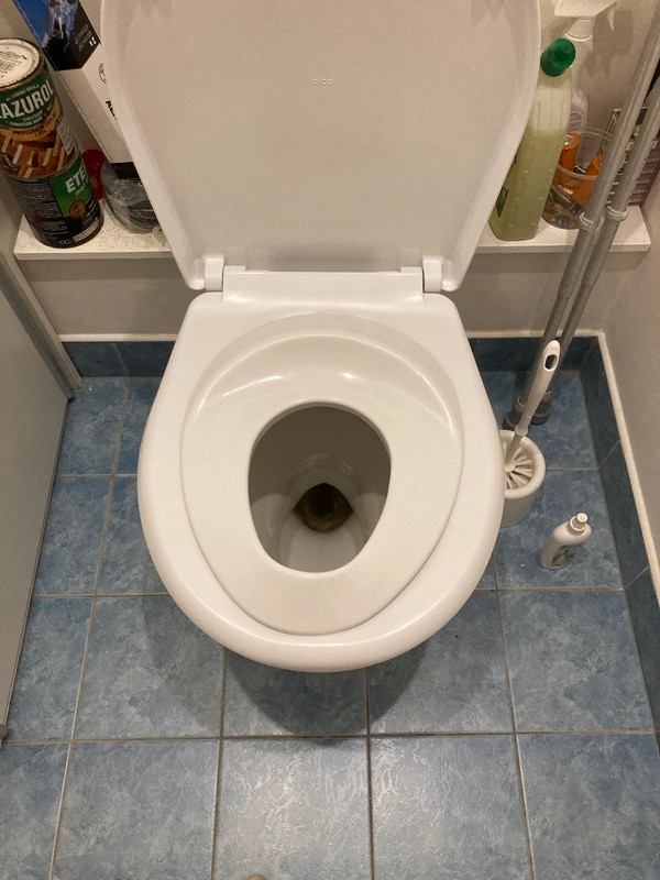 Zachodove prkenko detske - 2