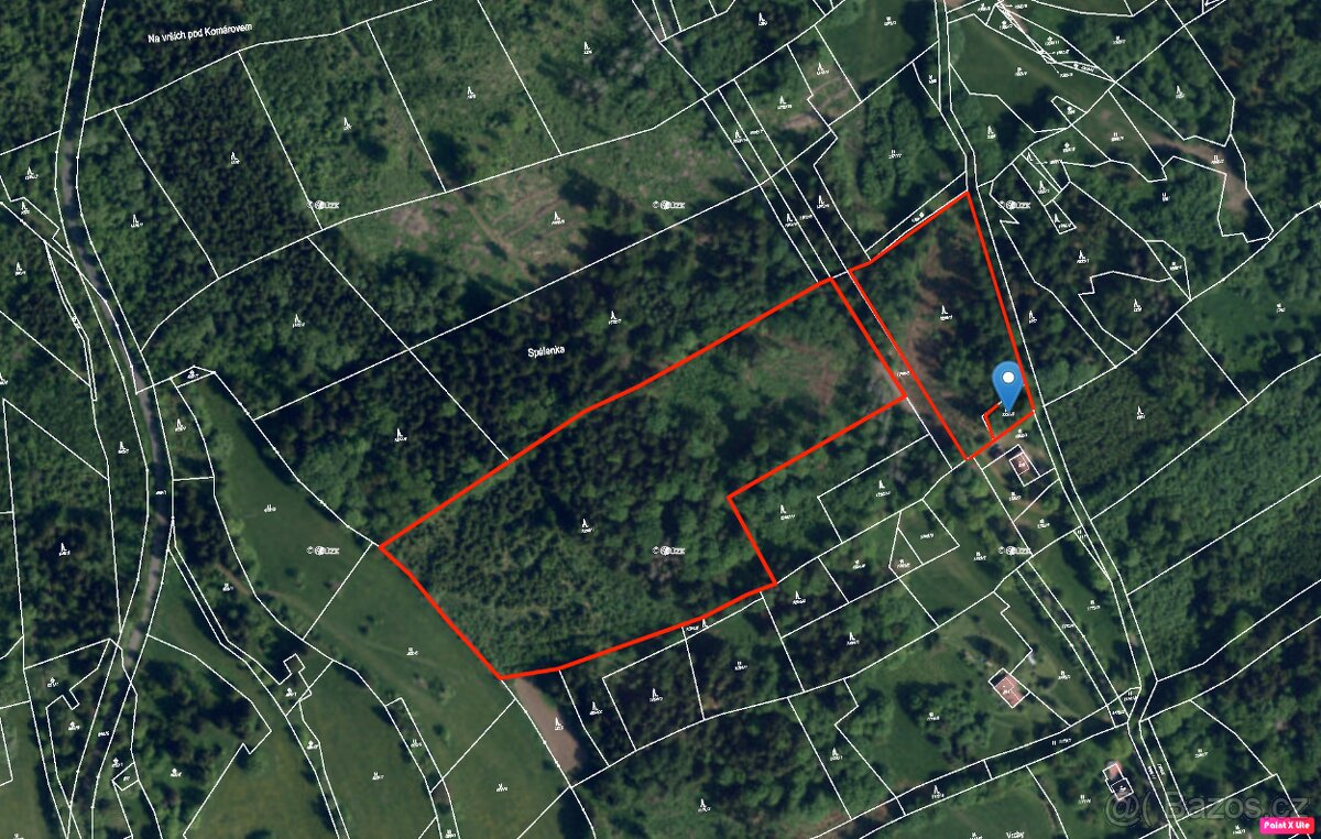 Prodej lesů - Chuchelna - Kozákov - Semily - 2