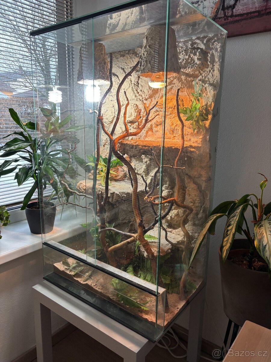 Terárium pro chameleona - 2