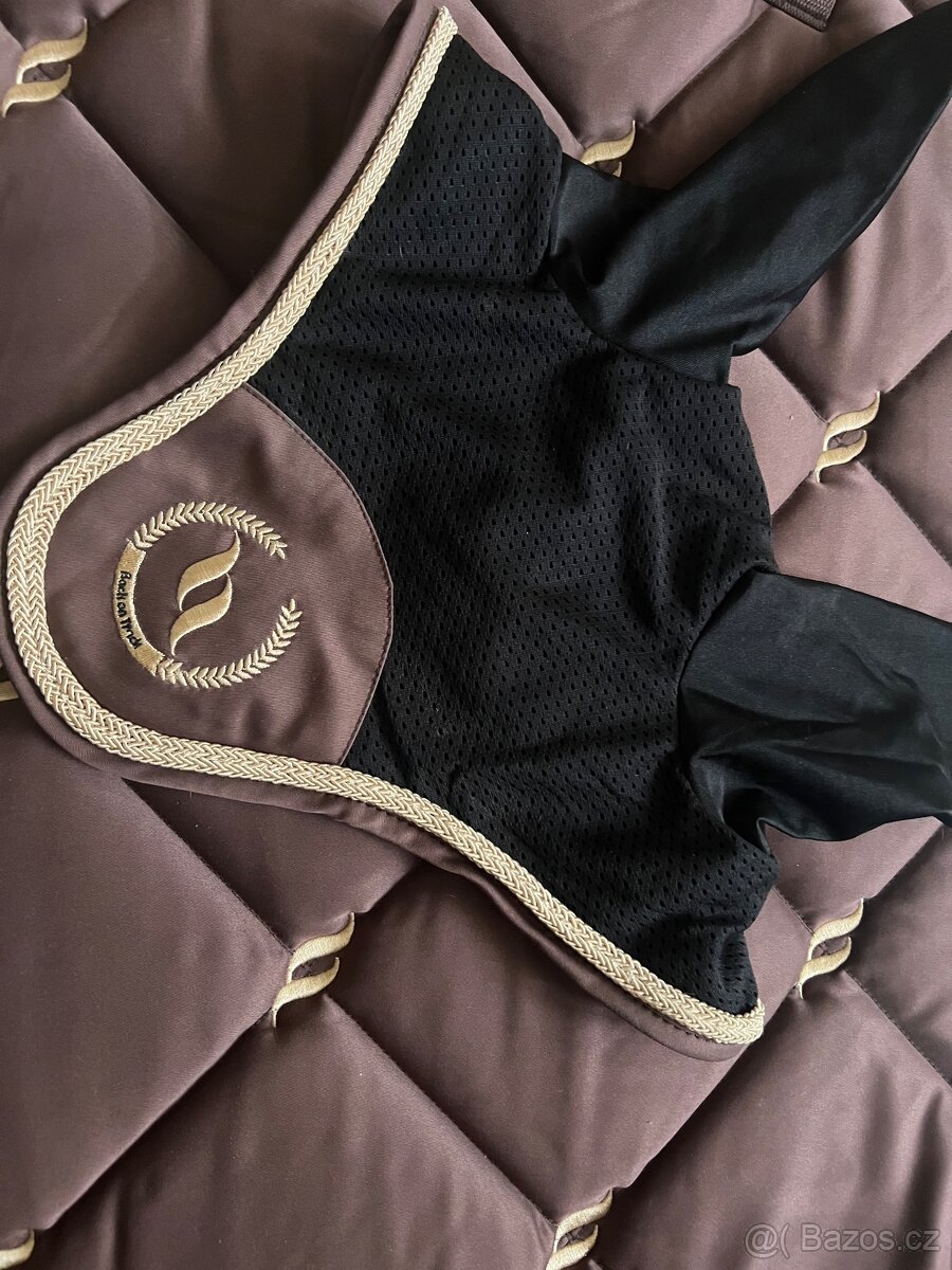 back on track sada - 2