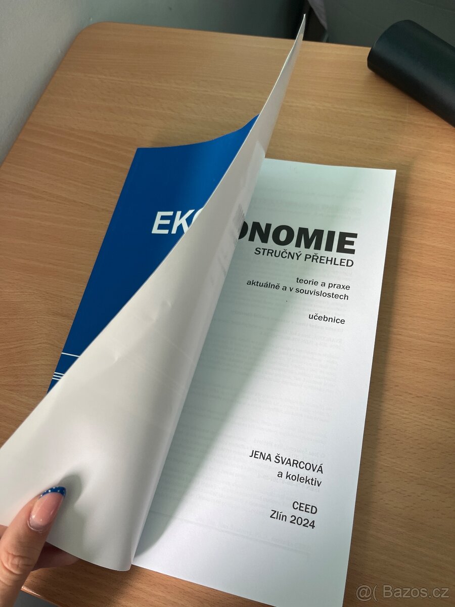 Ekonomie-stručný přehled - 2