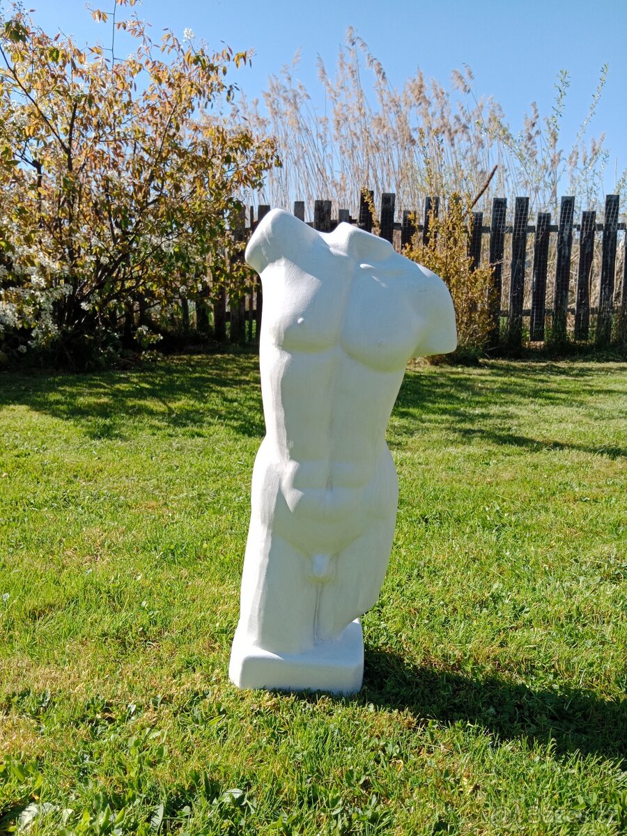 Torzo mužského těla 50 cm - 2