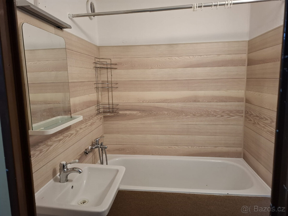 3+1 s balkonem 81,32m2 Tábor - 2