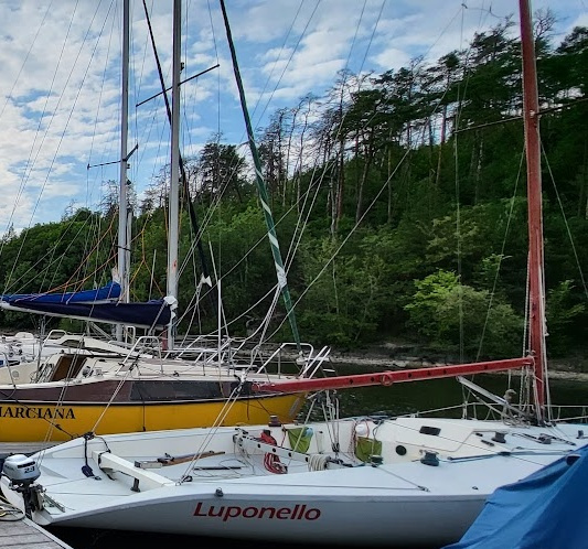 Plachetnice závodní Asso 99 - 2