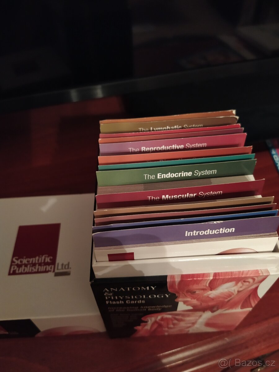 Anatomy&Physiology Flash Cards - 2