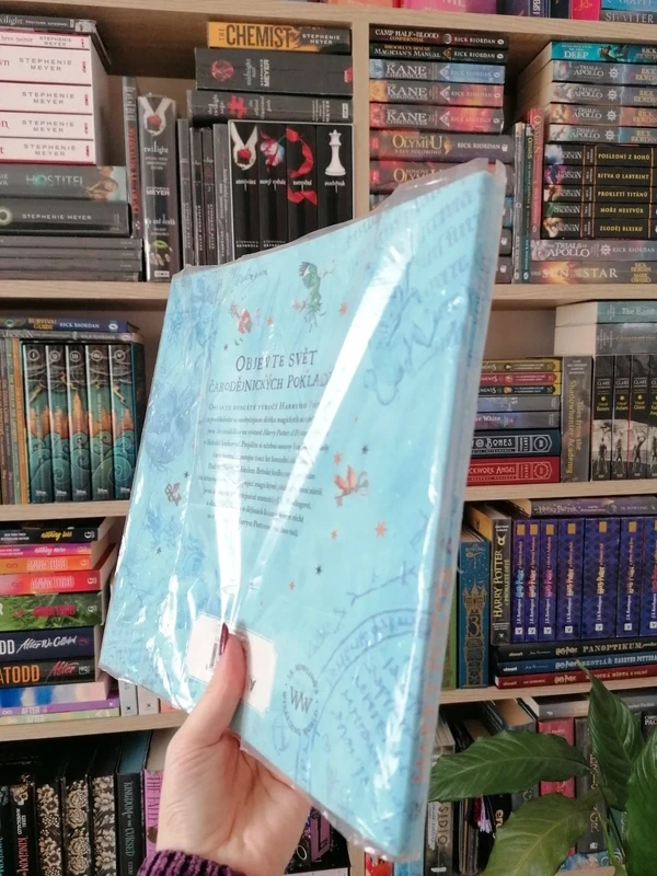 Harry Potter, Cesta dějinami čar a kouzel - 2