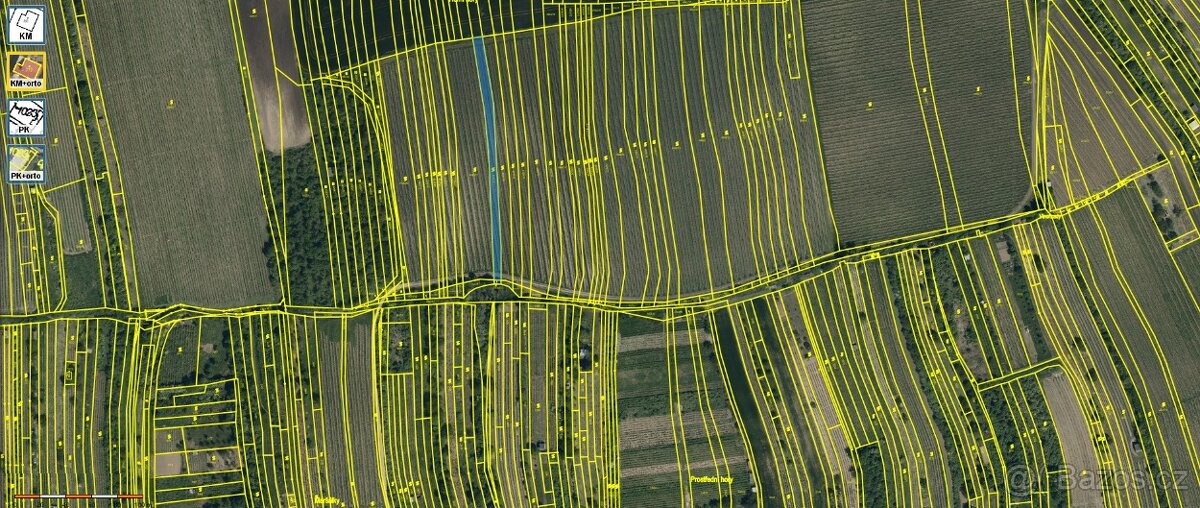 Prodej vinice v Bzenci 0,125 ha - 2
