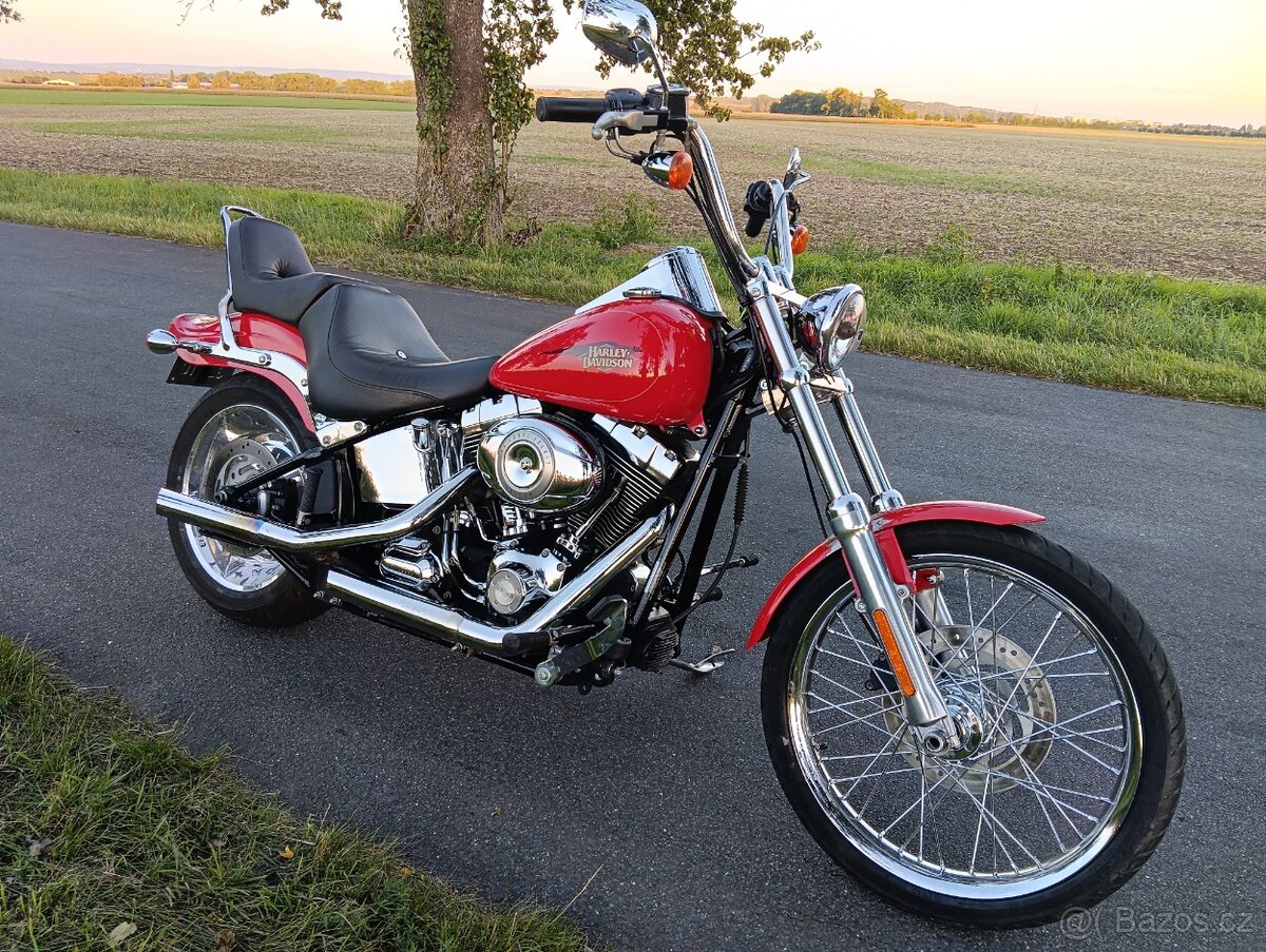 HARLEY DAVIDSON FXSTC Softail Custon - 2