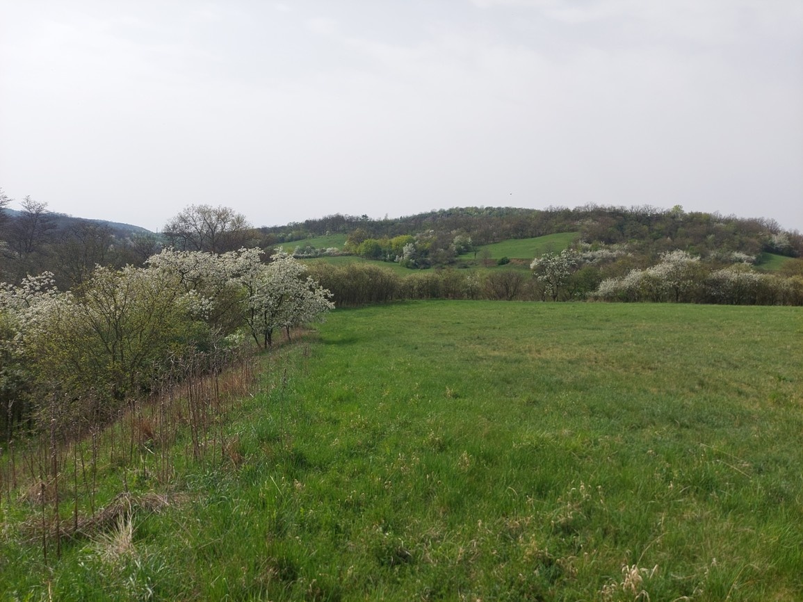 STAVEBNÍ POZEMEK NA KLIDNÉM MÍSTĚ KOUSEK OD TEPLIC. - 2