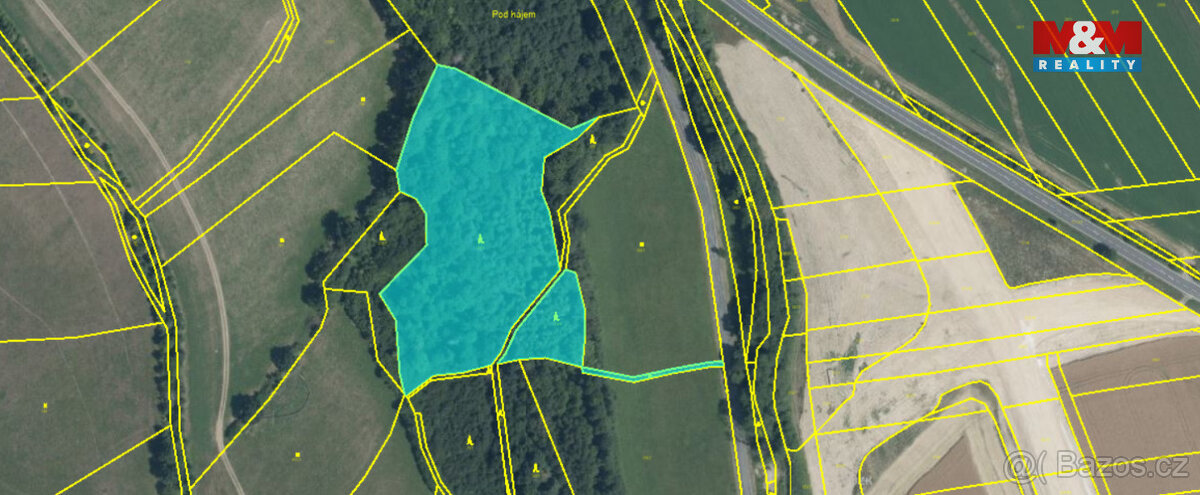 Prodej lesa, 12990 m², Vyšehoří - 2