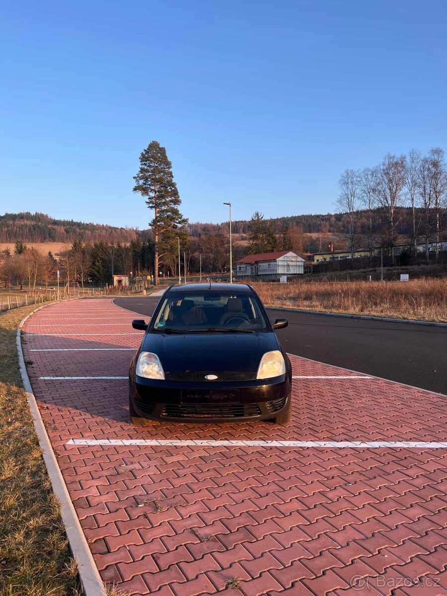 Ford Fiesta - 2