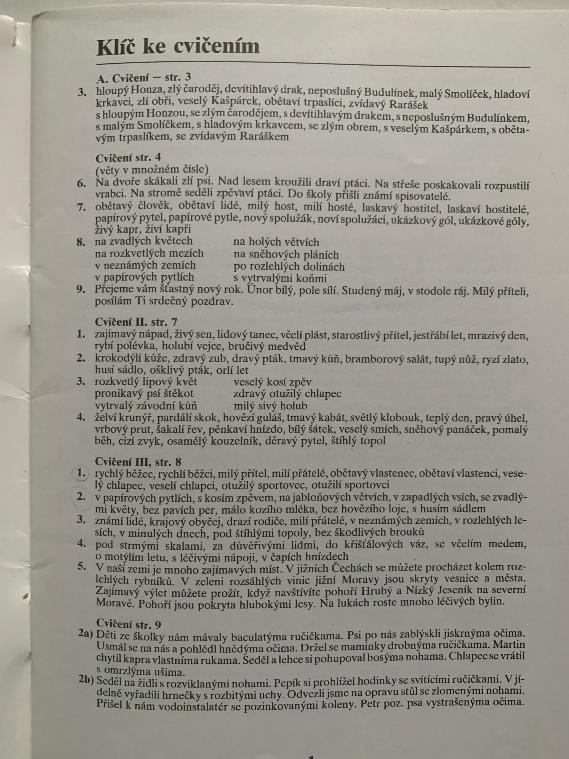 Pravopis přídavných jmen - 2