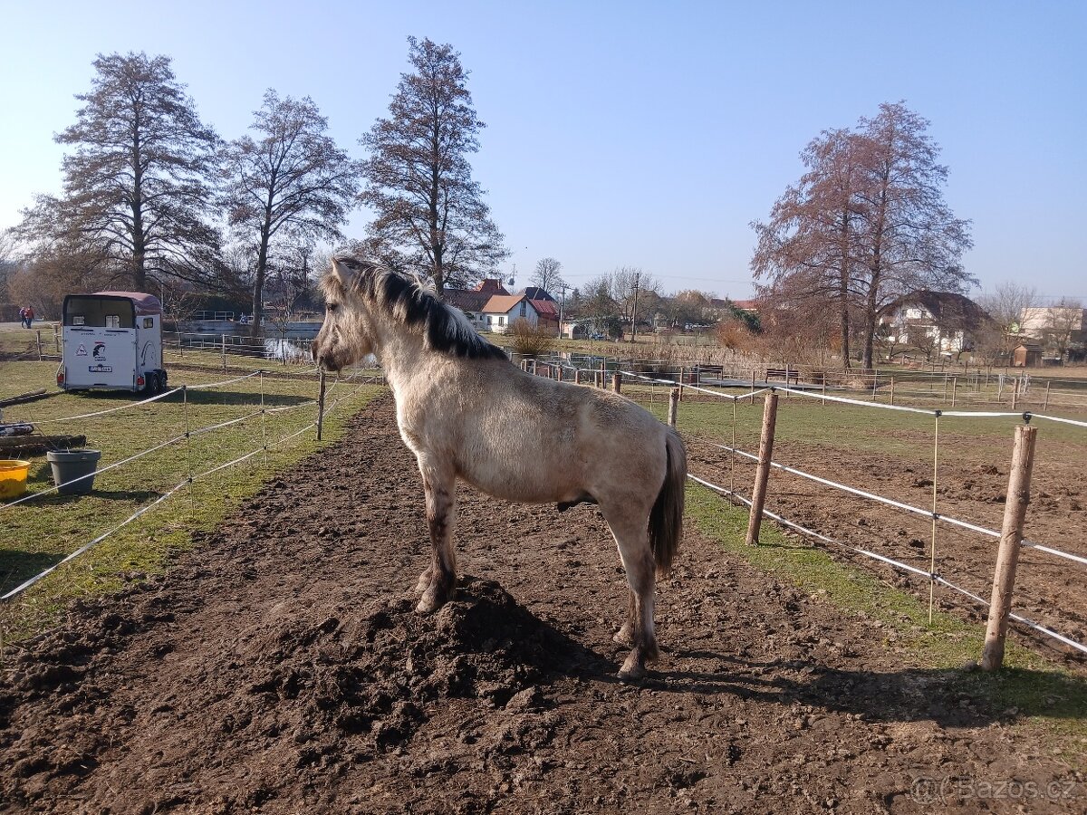 Nabidka ustajeni - 2