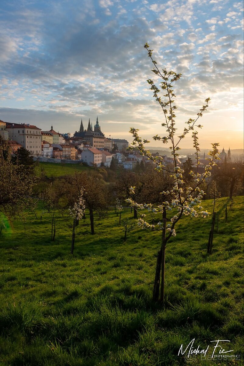 Linka Provence bilá / dub divoký 1318 Egger - 2