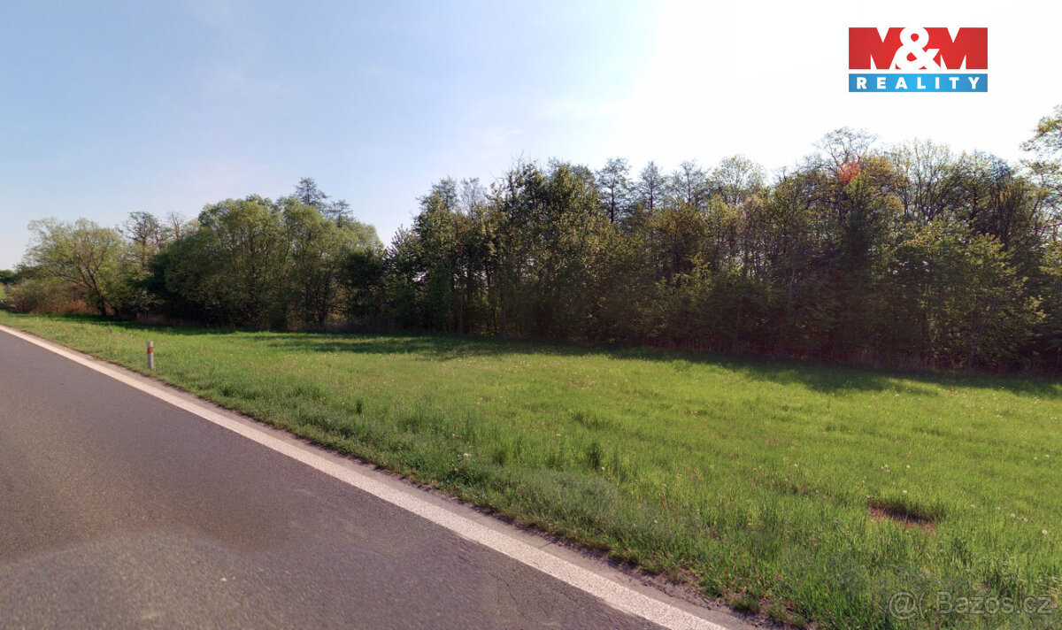 Prodej lesa, 13318 m², Blíževedly - 2